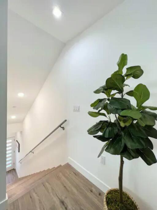 4Br Townhouse In Koreatown Los Angeles Luaran gambar